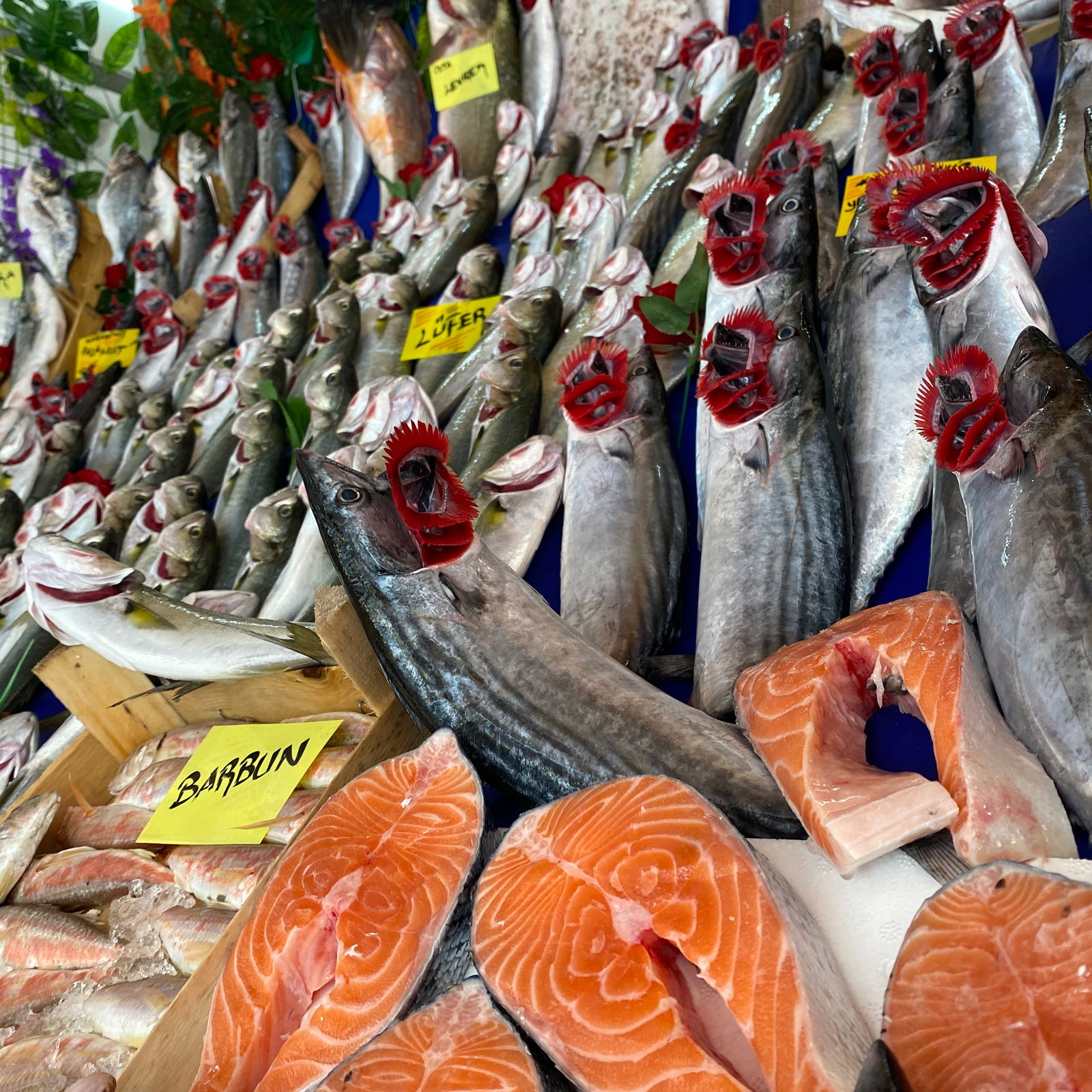 Çarşı Balık Market