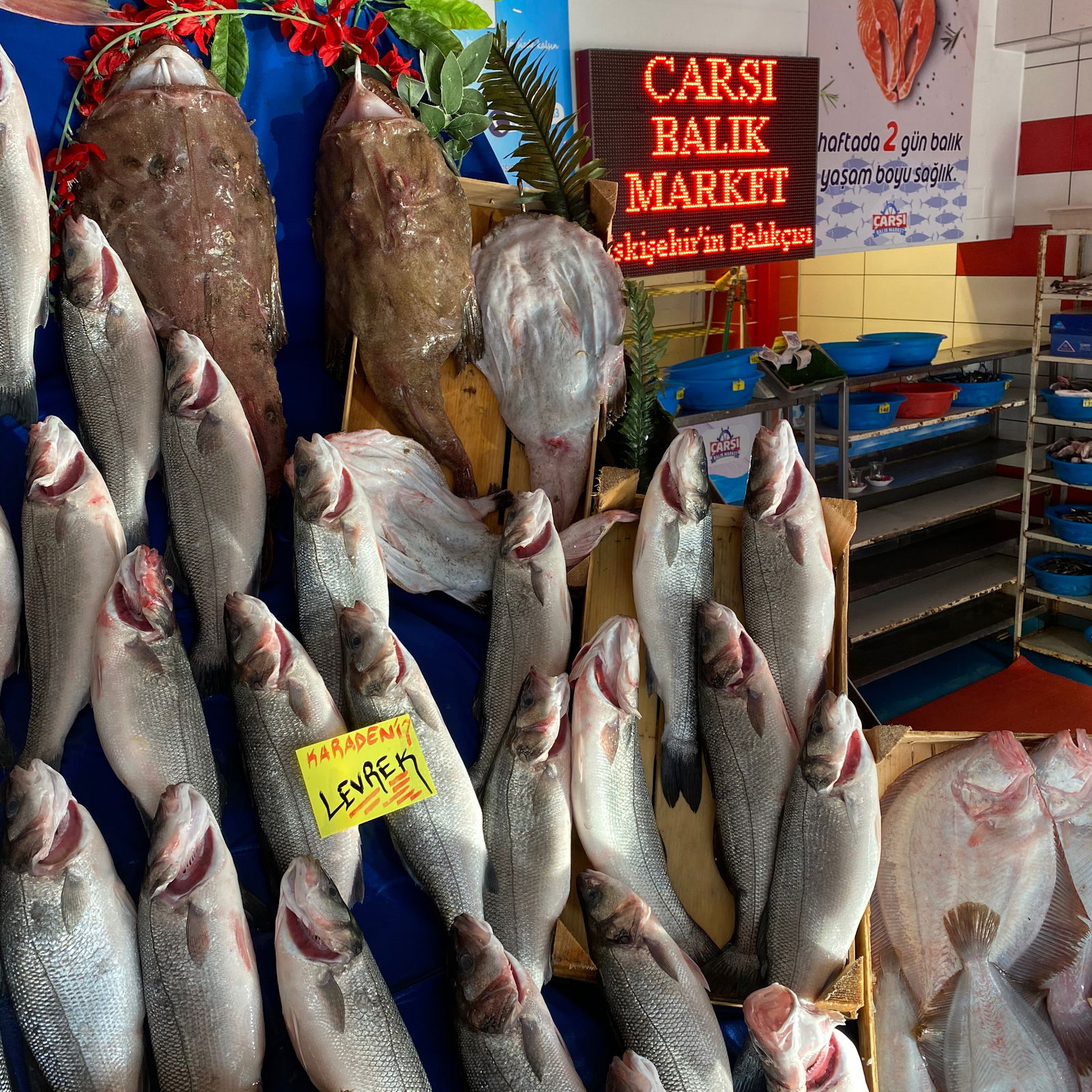 Çarşı Balık Market