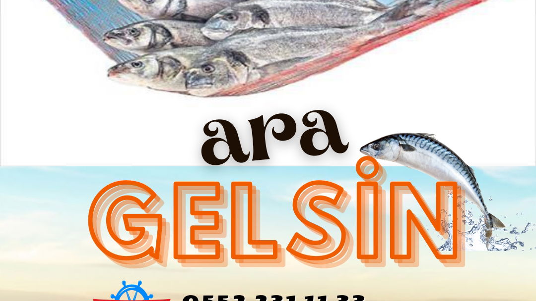 Çarşı Balık Market