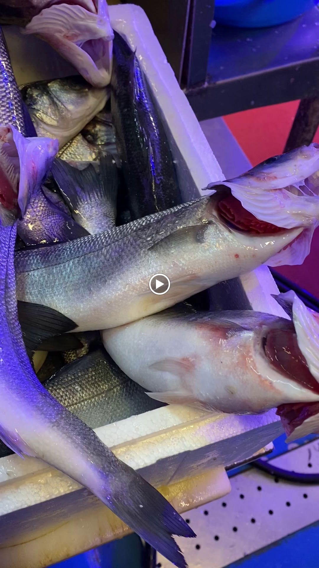 Çarşı Balık Market