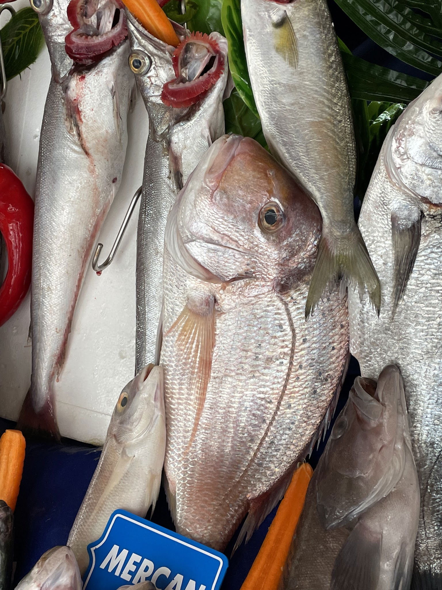 Çarşı Balık Market