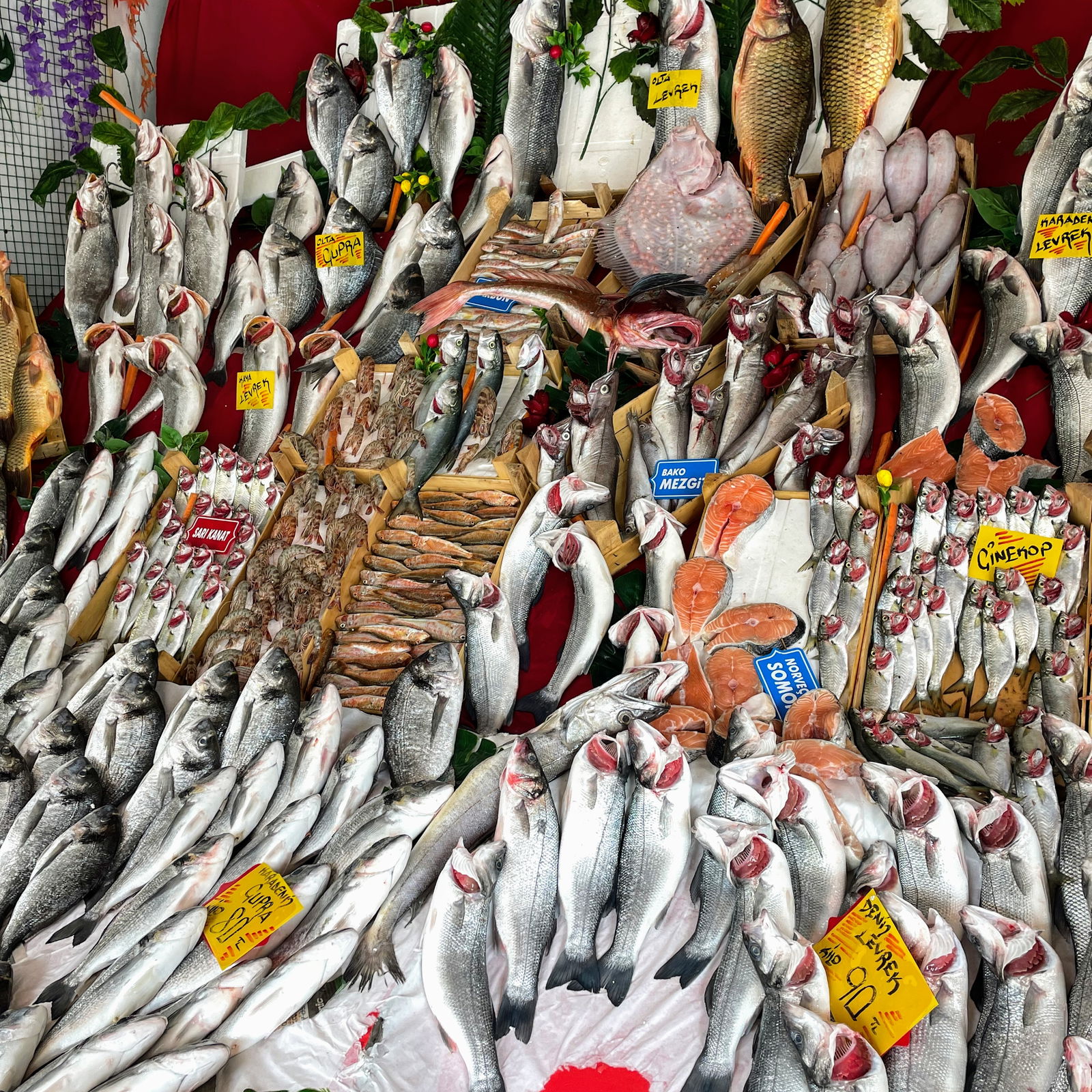 Çarşı Balık Market