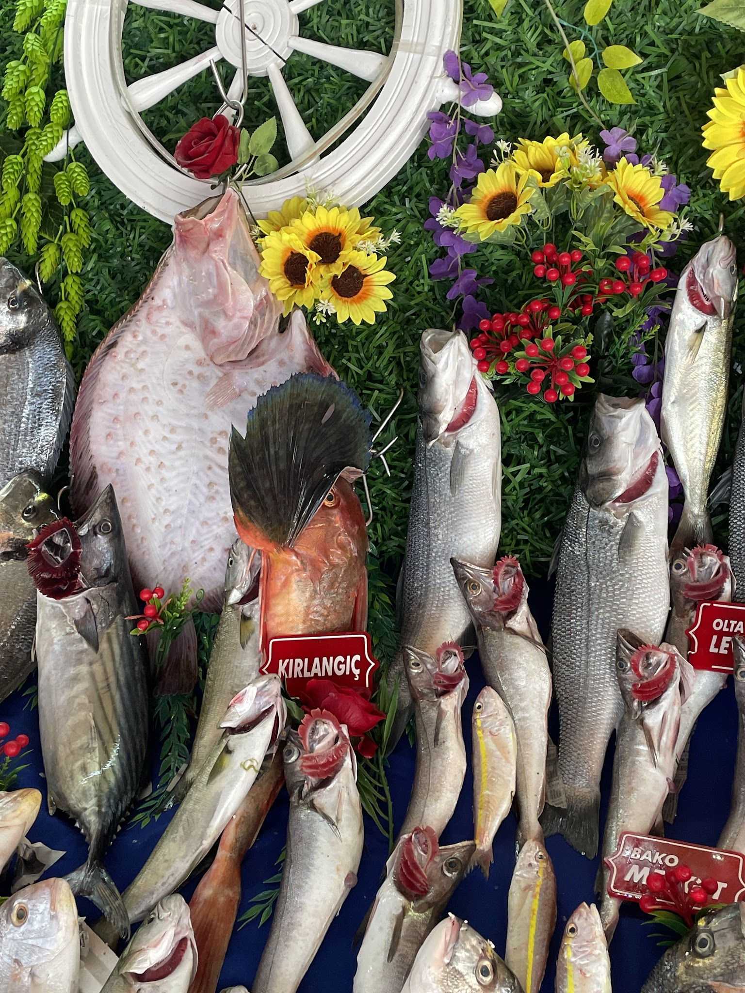 Çarşı Balık Market