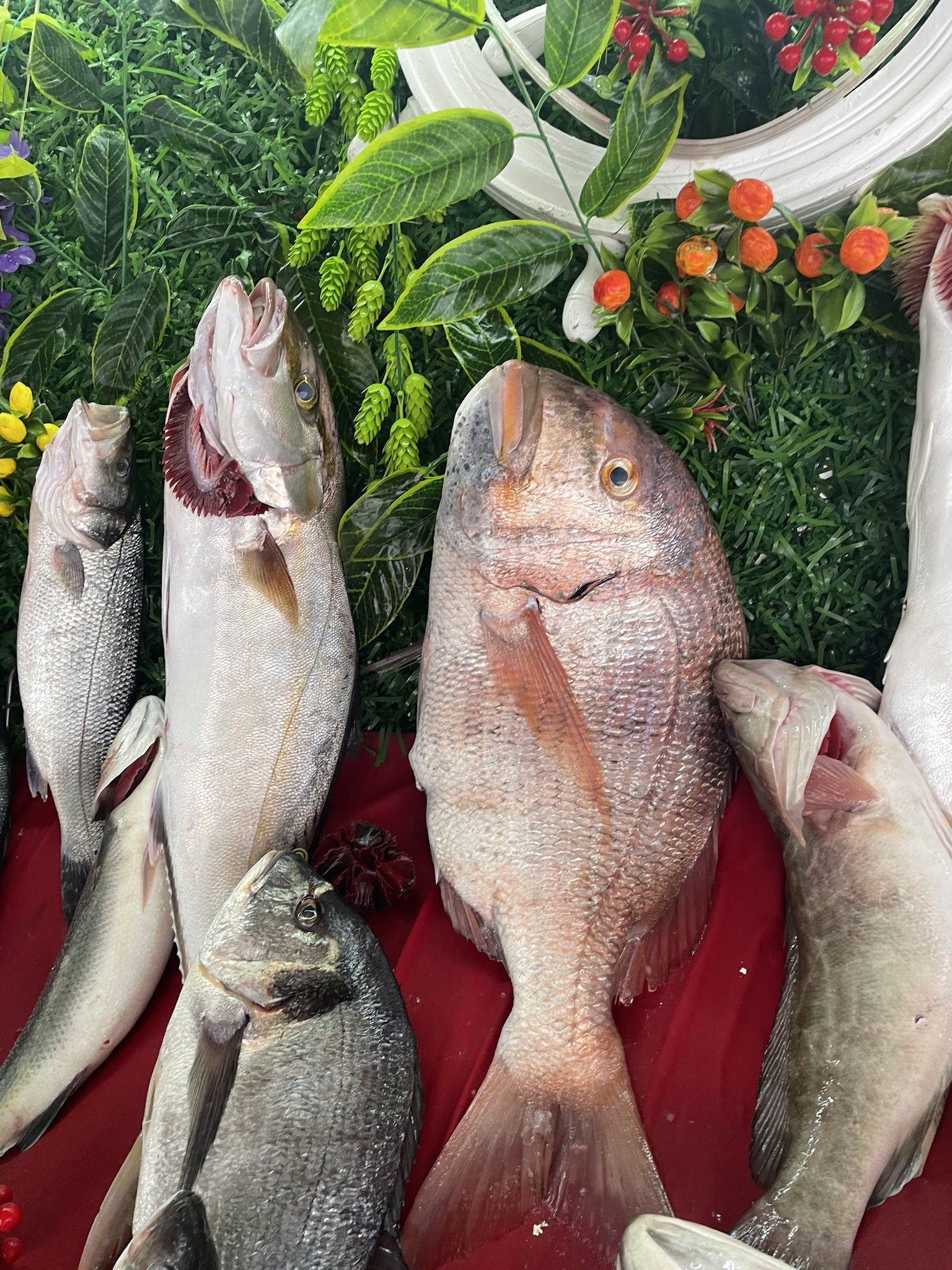 Çarşı Balık Market