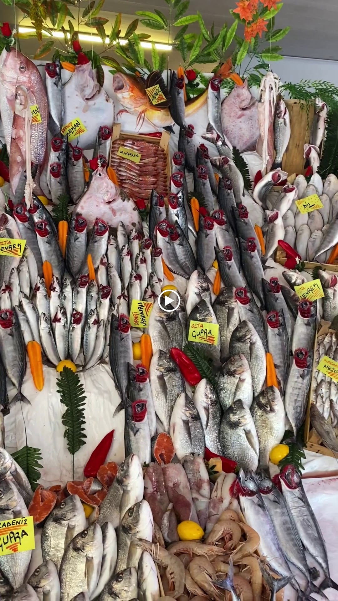 Çarşı Balık Market