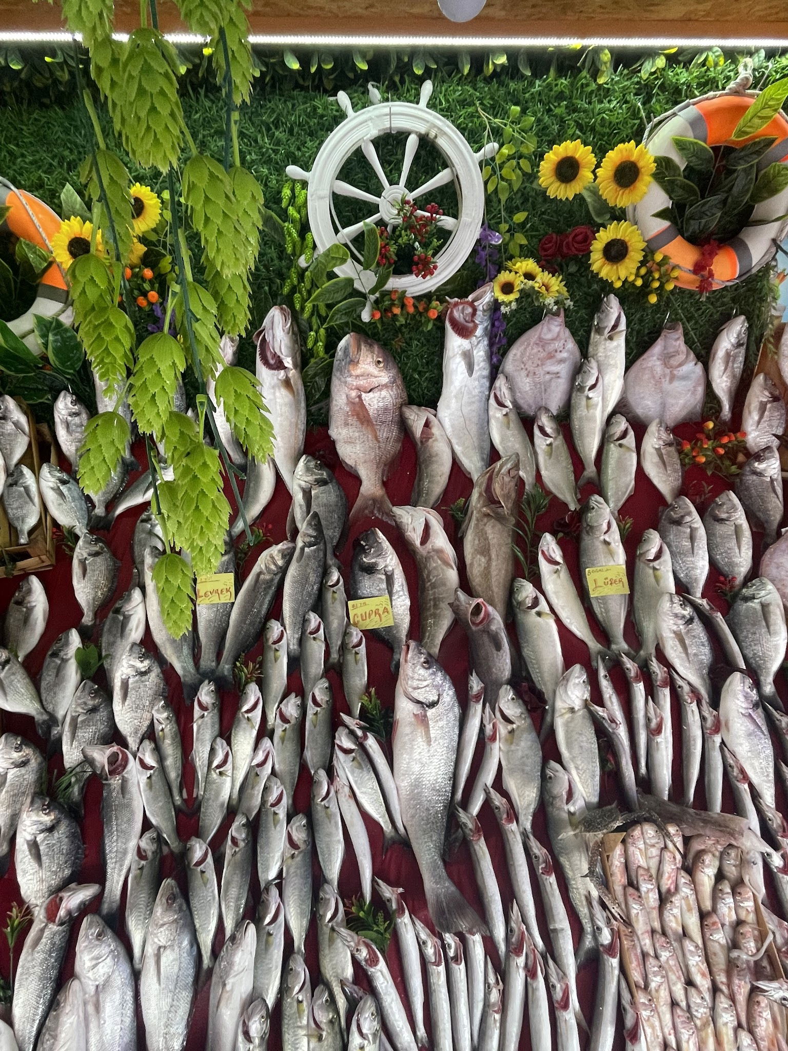 Çarşı Balık Market