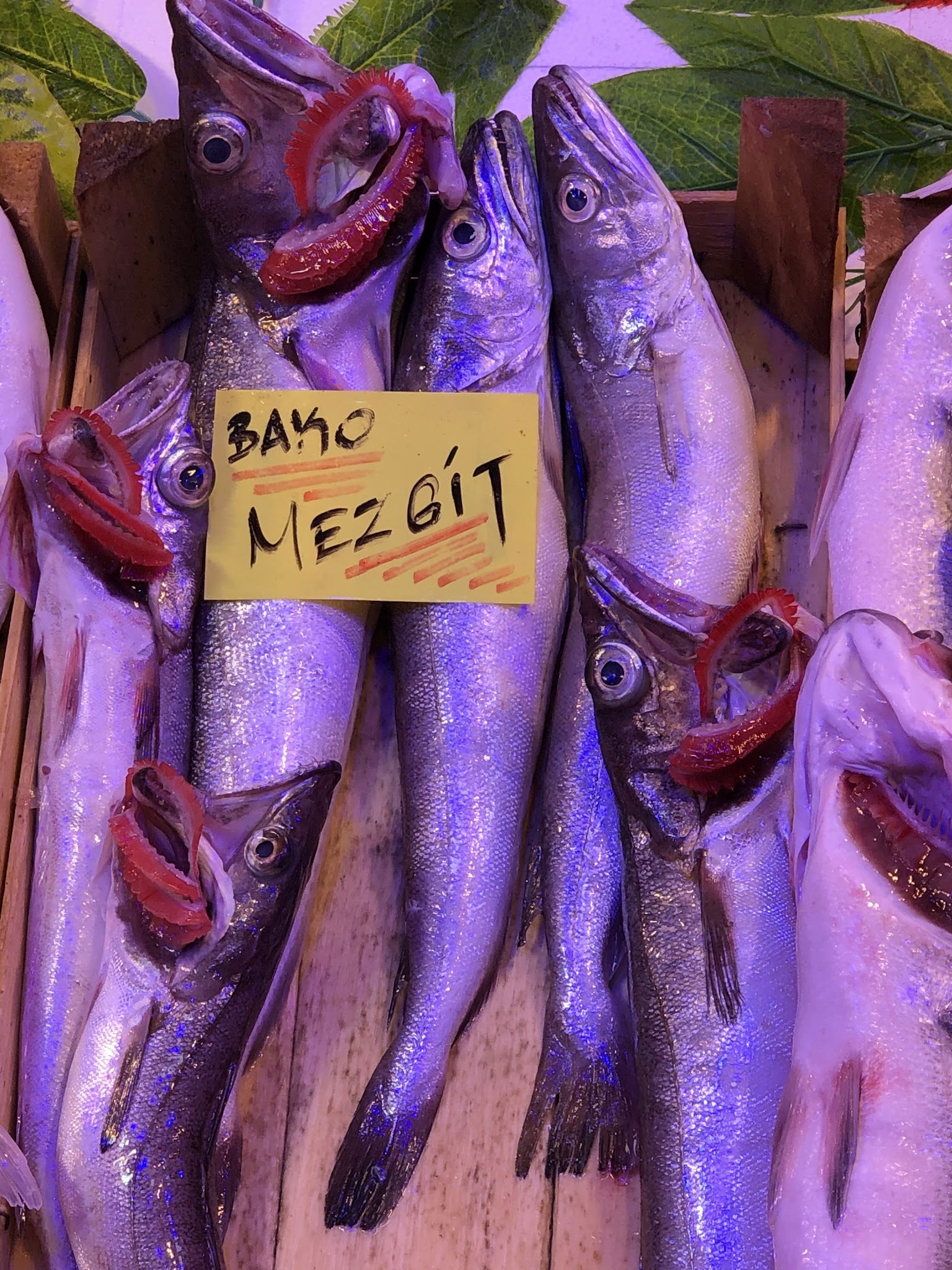 Çarşı Balık Market