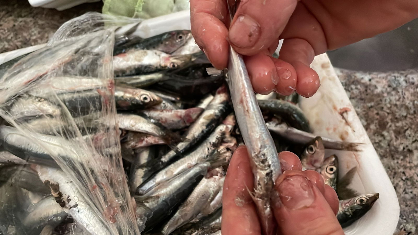 Çarşı Balık Market