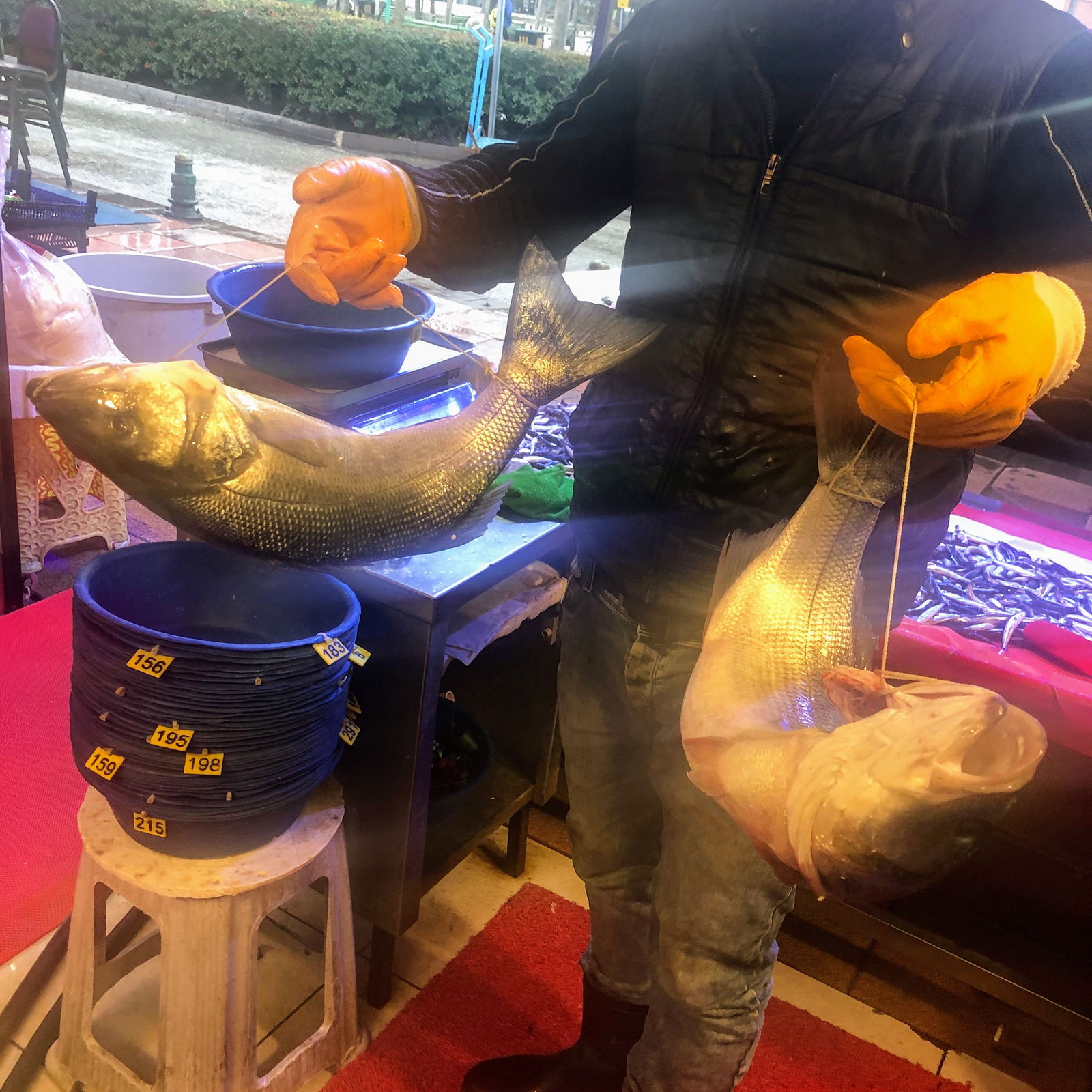 Çarşı Balık Market