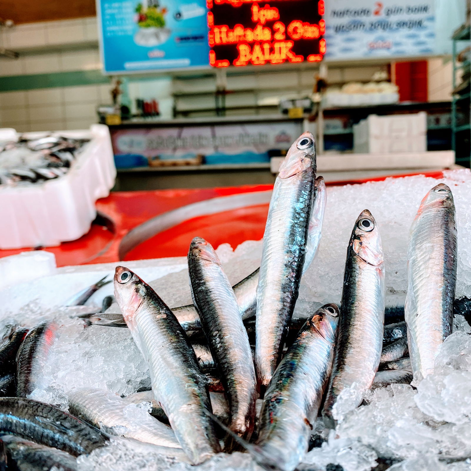 Çarşı Balık Market