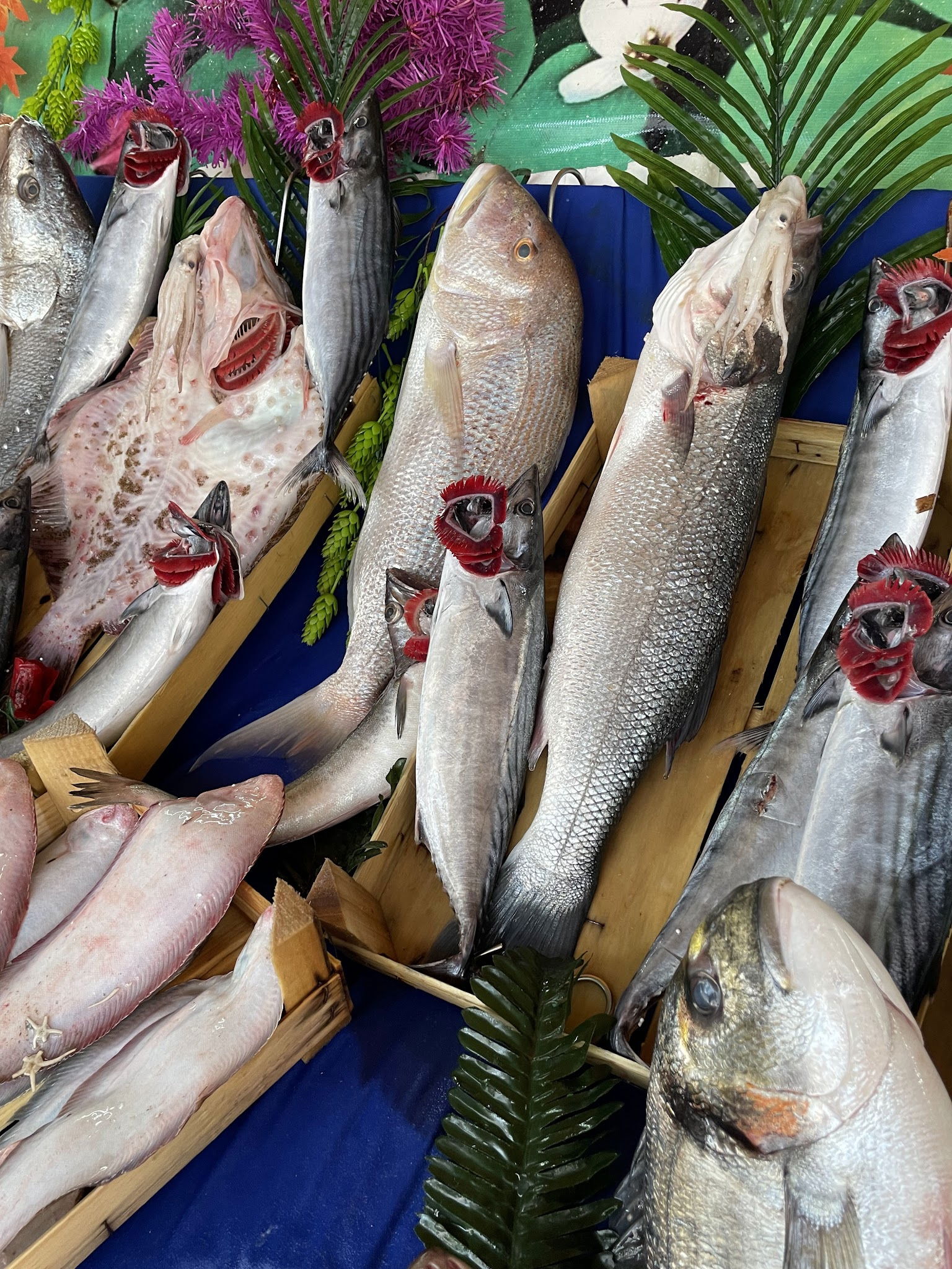 Çarşı Balık Market