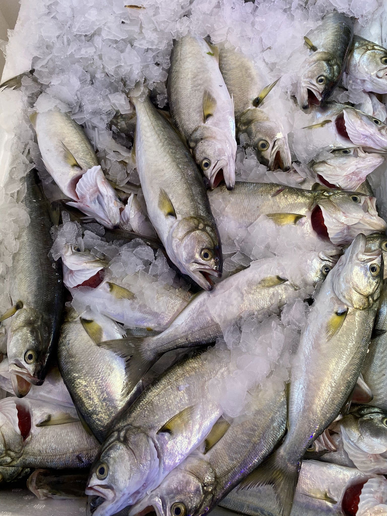 Çarşı Balık Market