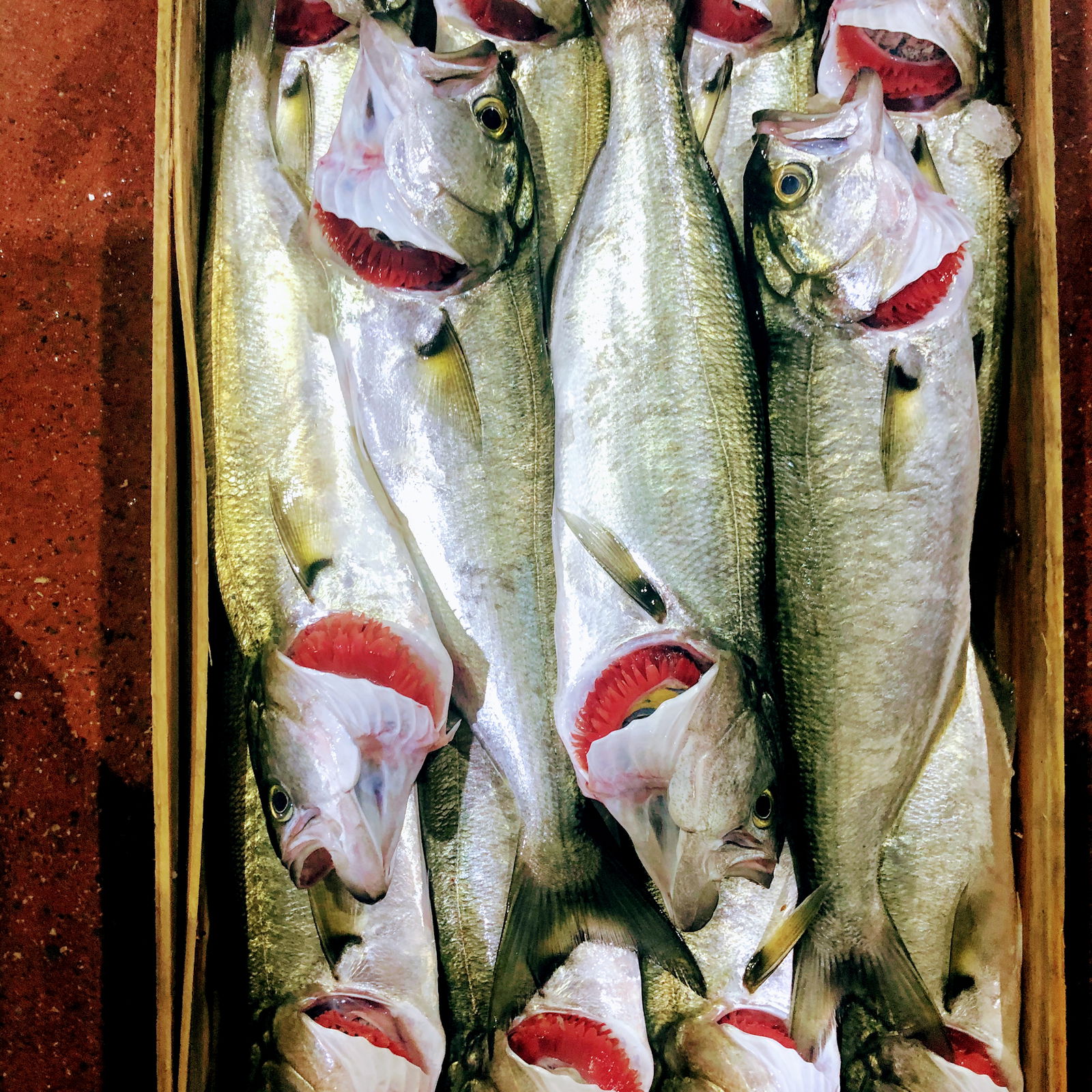 Çarşı Balık Market