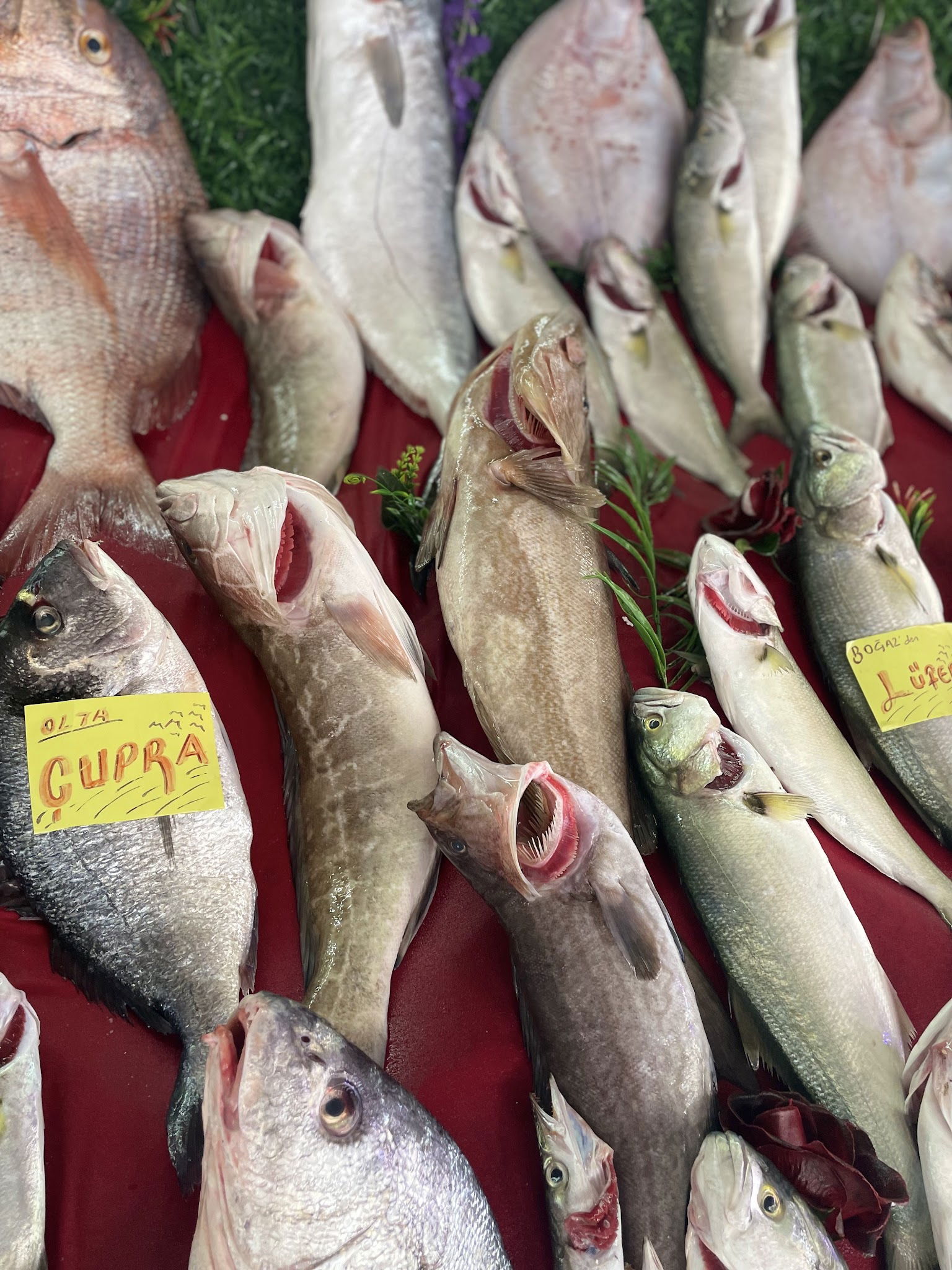 Çarşı Balık Market