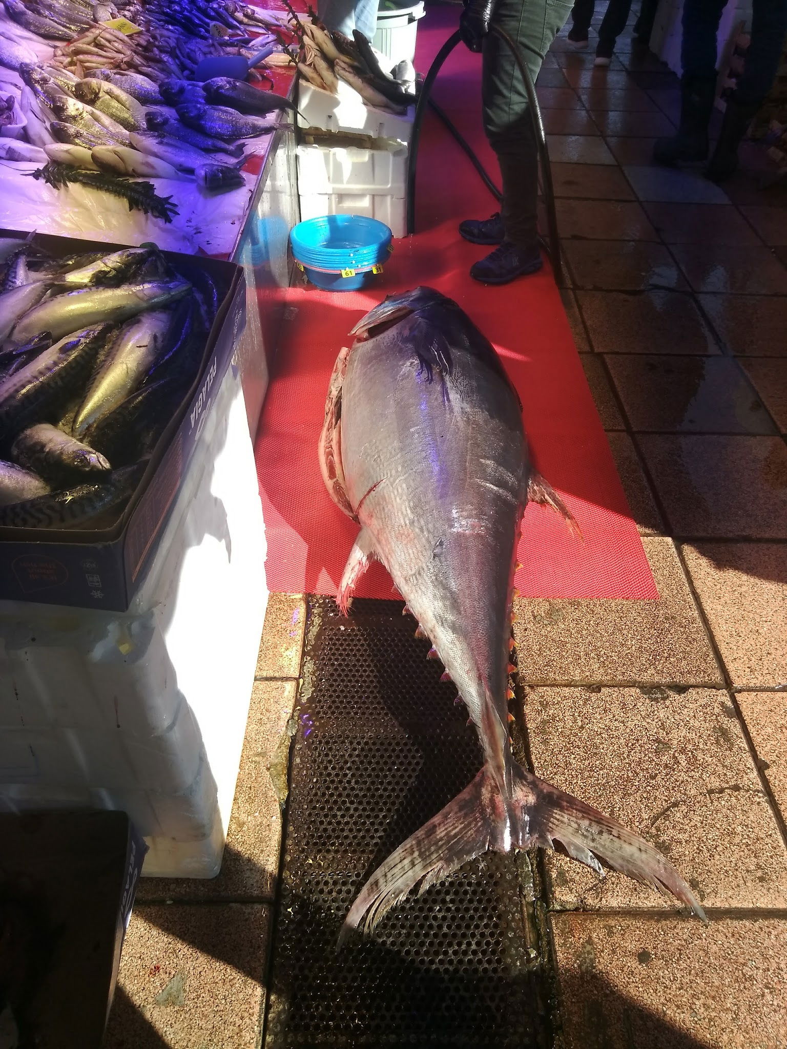 Çarşı Balık Market