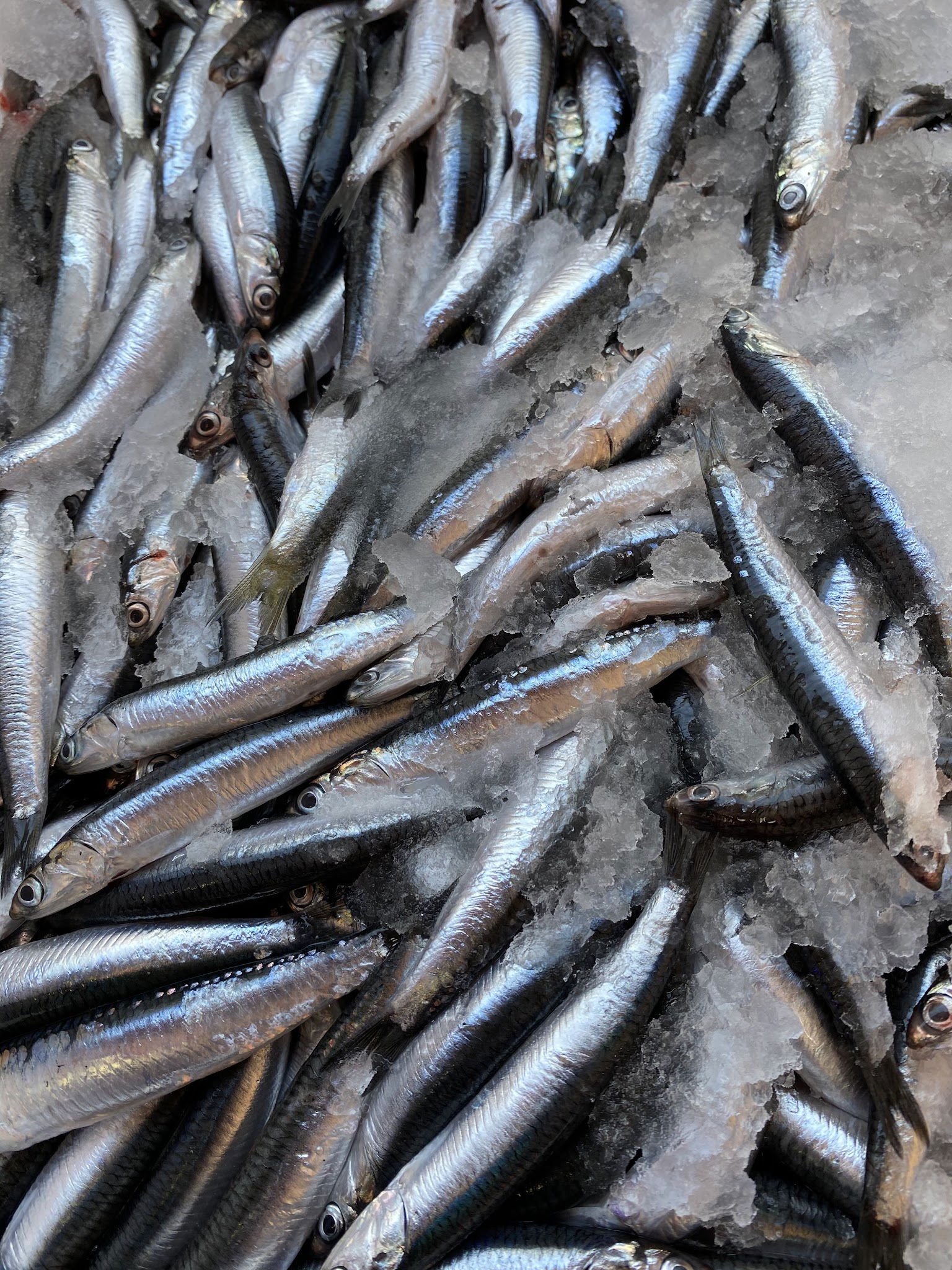 Çarşı Balık Market