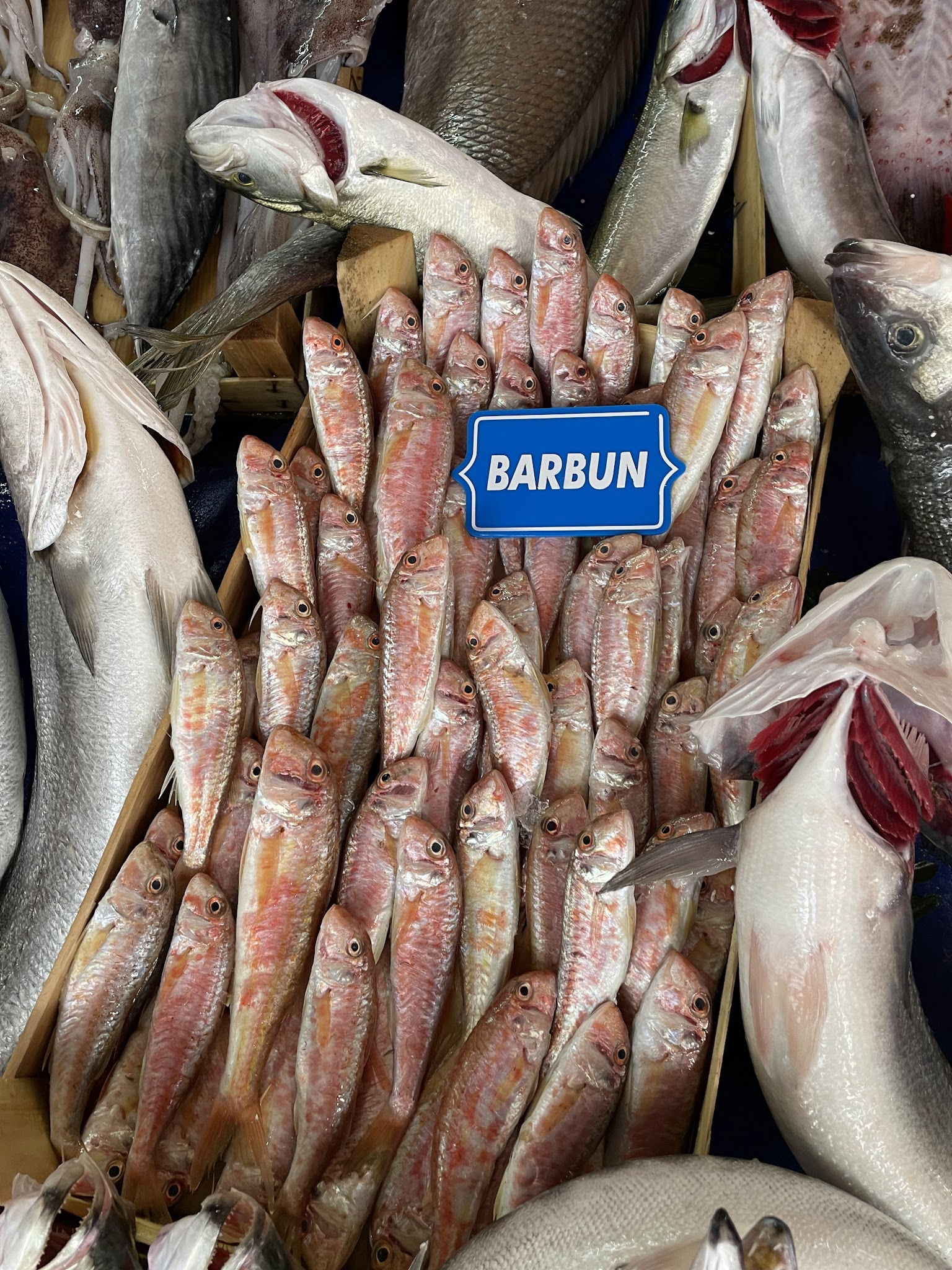 Çarşı Balık Market