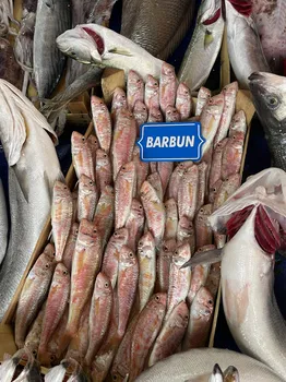 Çarşı Balık Market resimleri