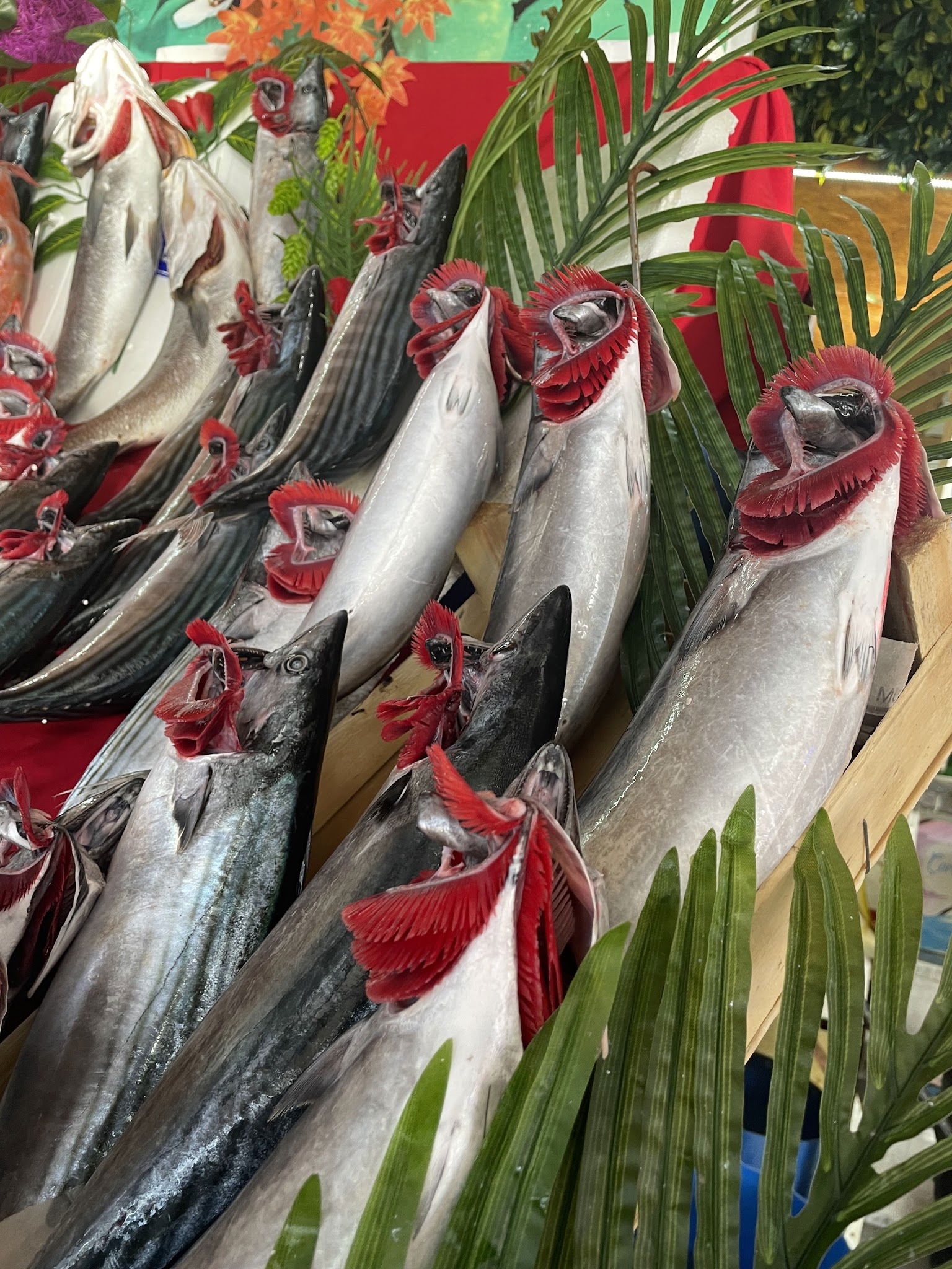 Çarşı Balık Market