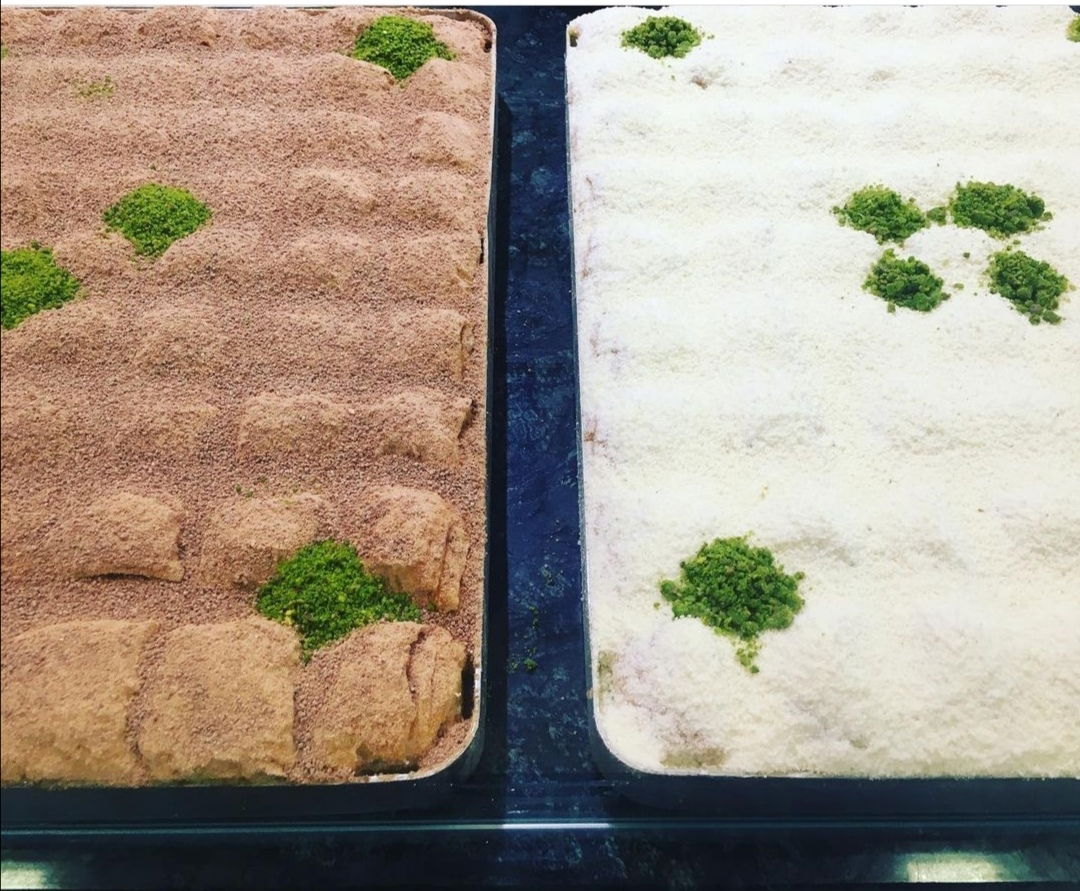 Bergama Hacıoğlu Baklava& Künefe