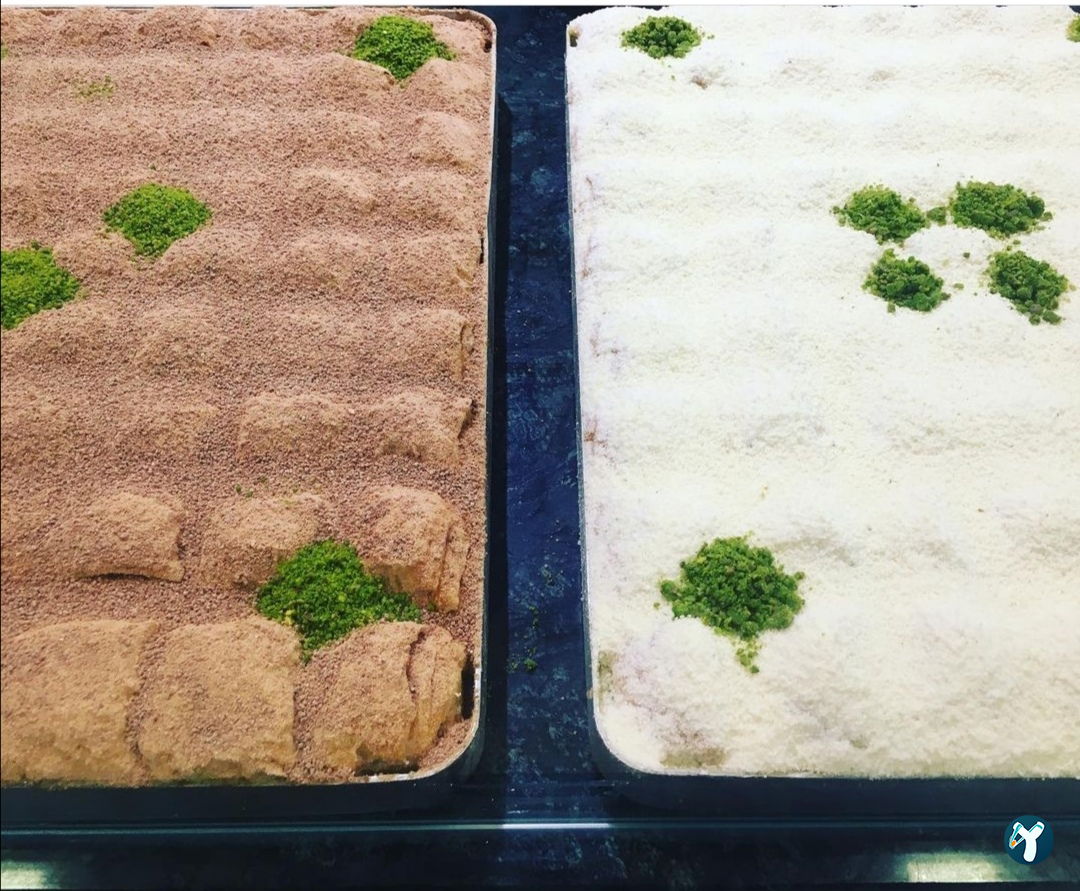 Bergama Hacıoğlu Baklava& Künefe