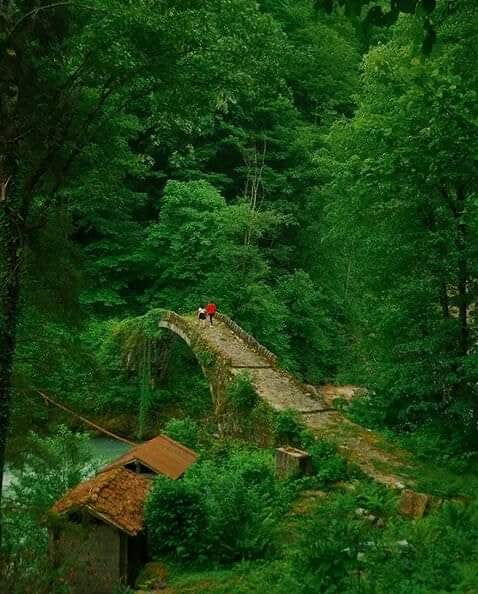 Köroğlu Gurme Pide Ataköy®️