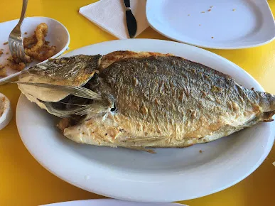 Kalamar Restoran resimleri