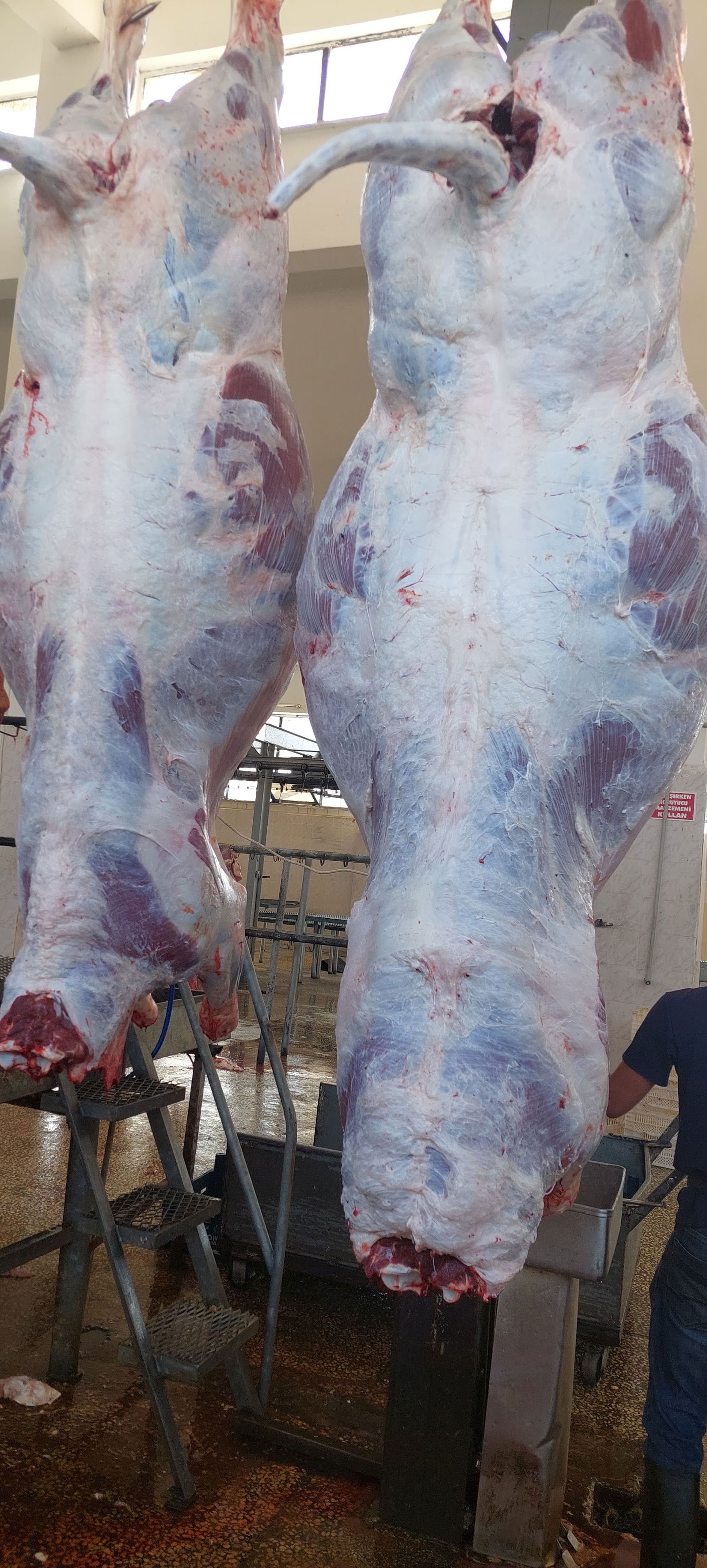 Gül Kebap Ve Gül Kasap