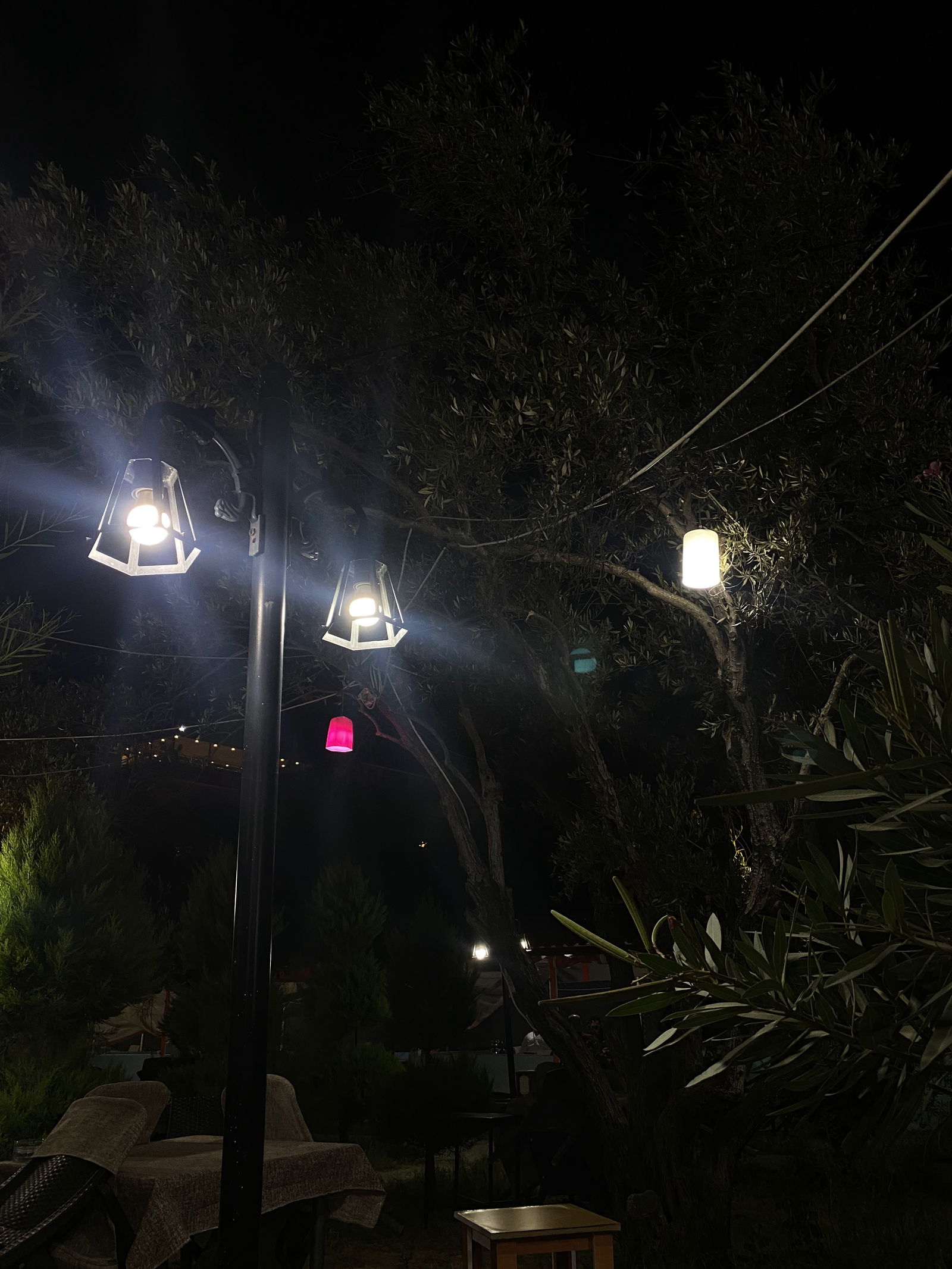 Çağdaş Cafe Aile Çay Bahçesi