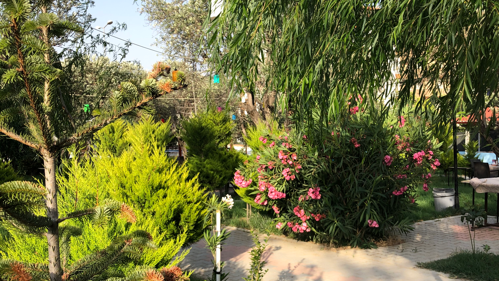 Çağdaş Cafe Aile Çay Bahçesi