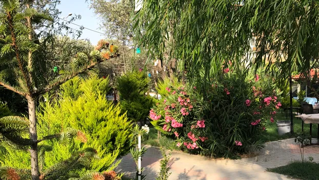 Çağdaş Cafe Aile Çay Bahçesi resimleri