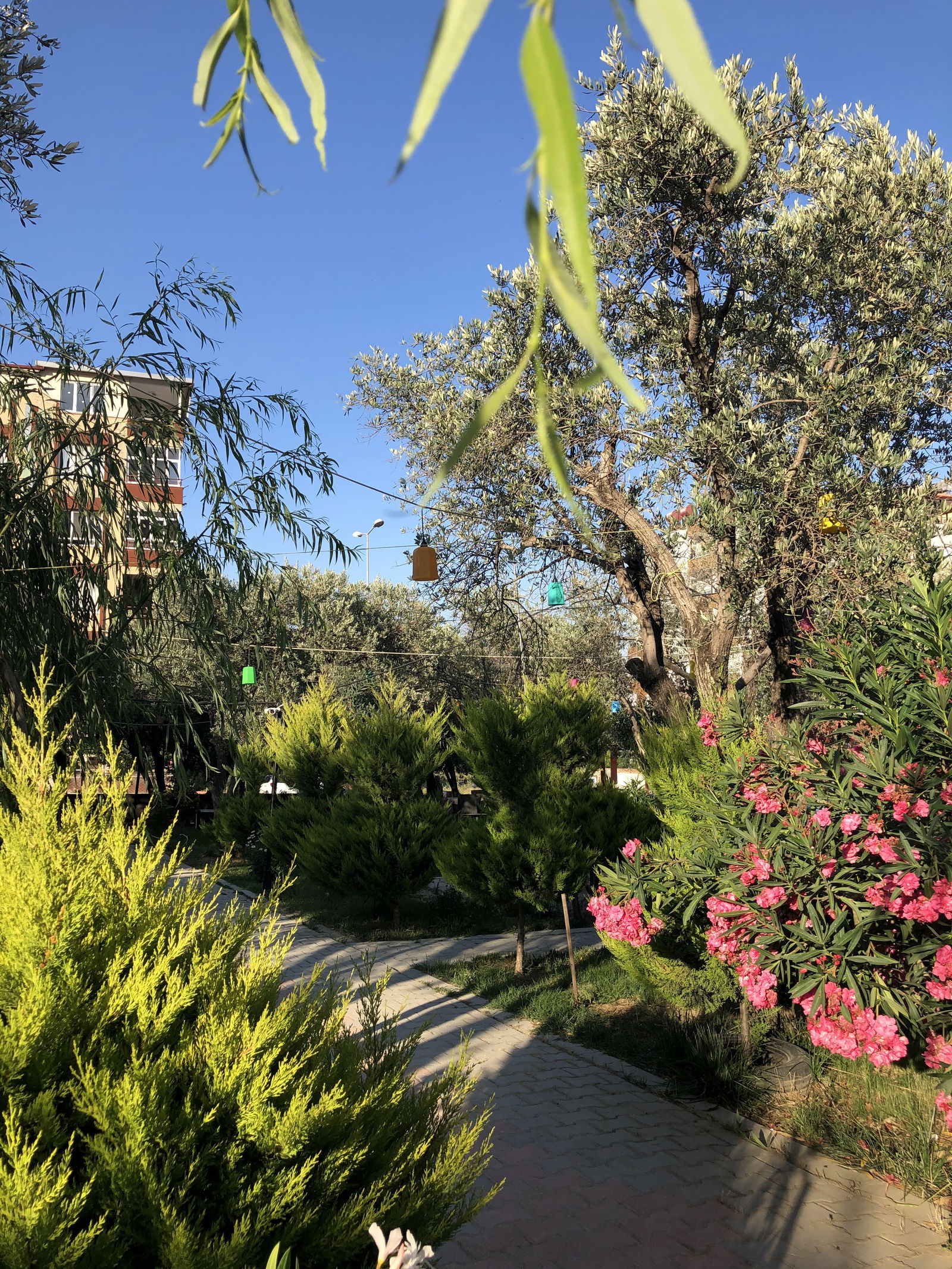 Çağdaş Cafe Aile Çay Bahçesi