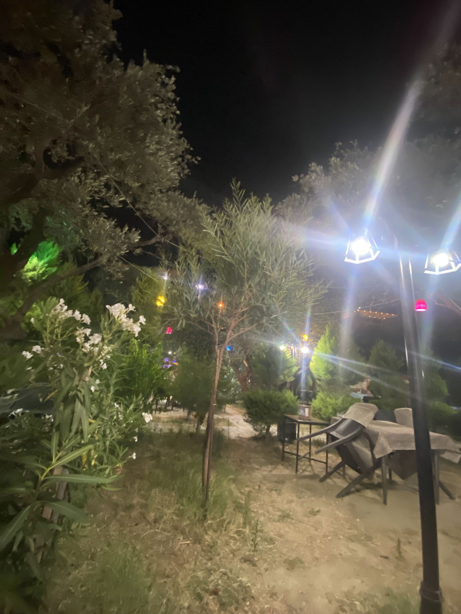 Çağdaş Cafe Aile Çay Bahçesi