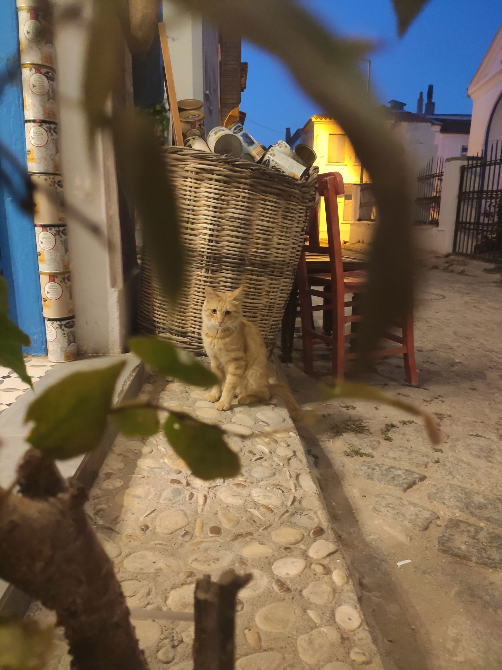 Madamın Kahvesi Bozcaada