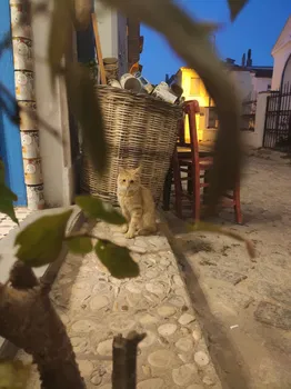 Madamın Kahvesi Bozcaada resimleri