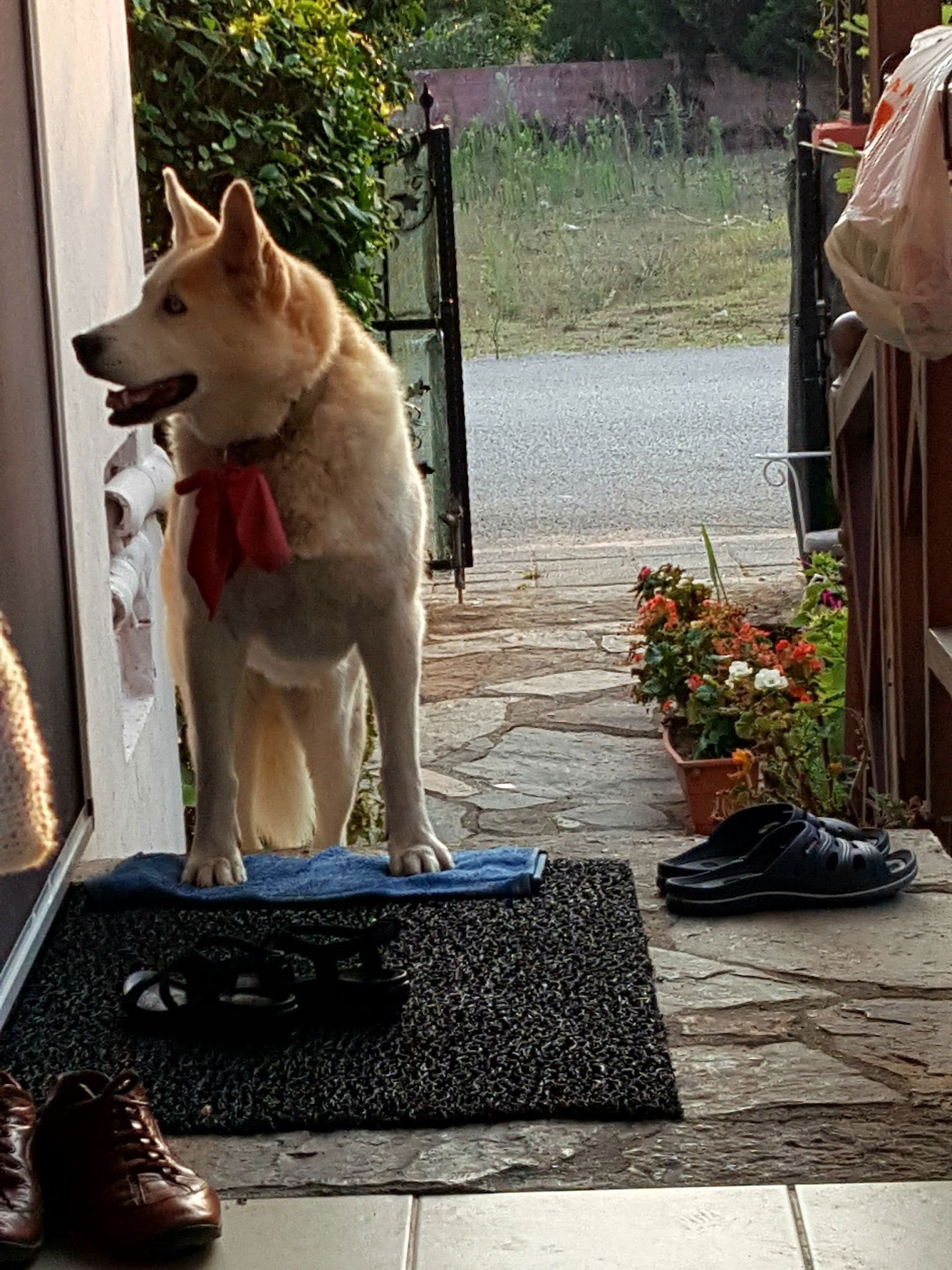 Çınaraltı Et Mangal