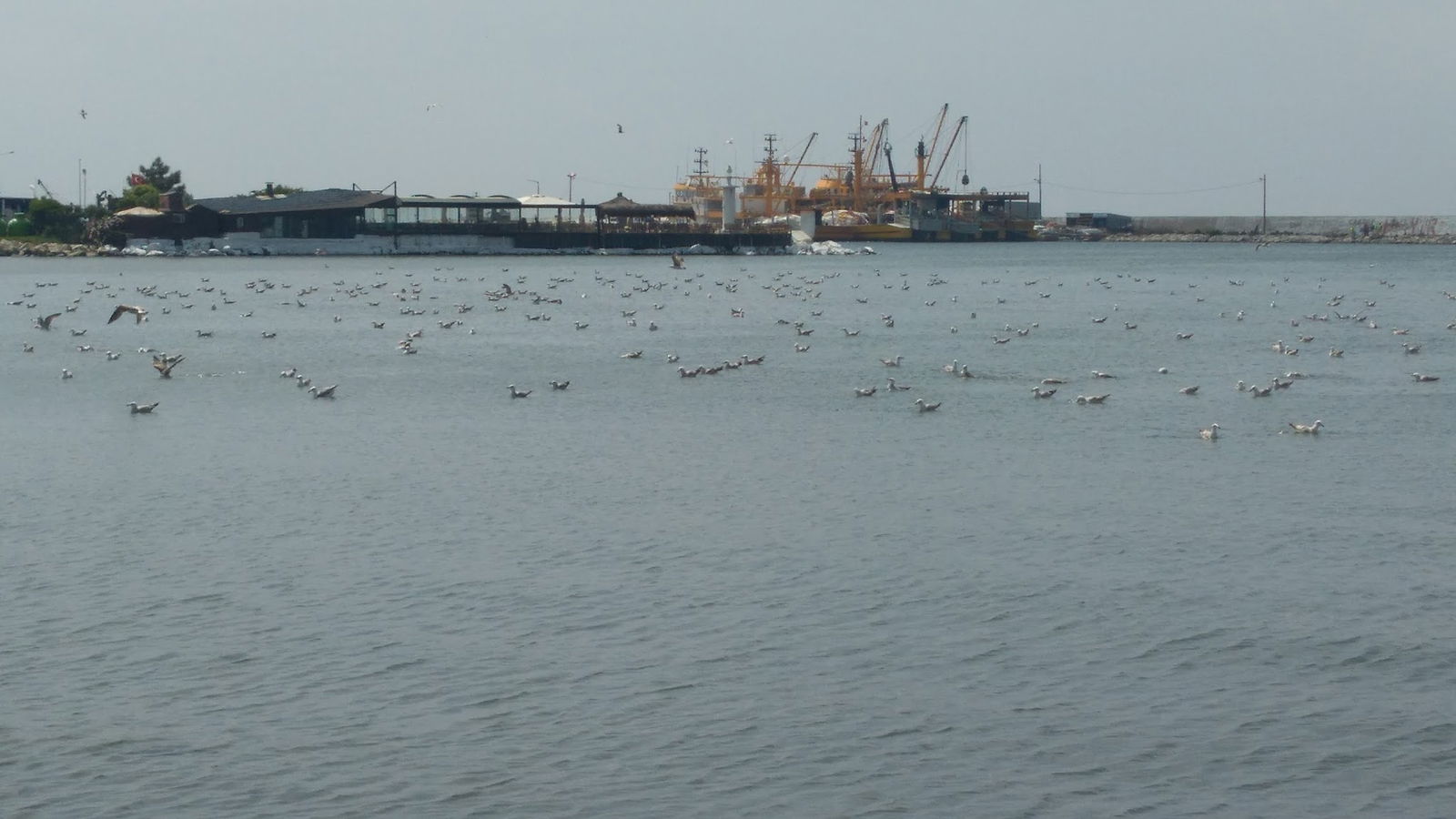 Glorious'S Cafe & Restaurant