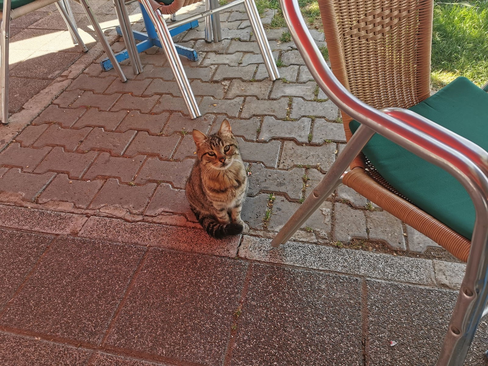 Glorious'S Cafe & Restaurant