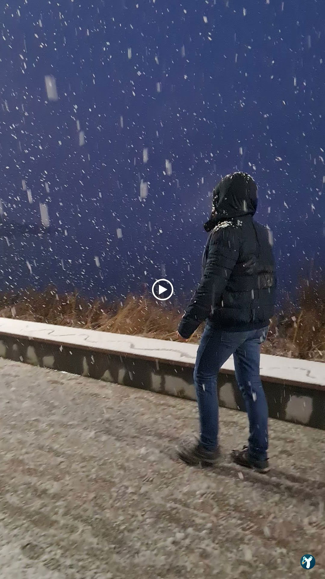 Dago Kaptanın Yeri