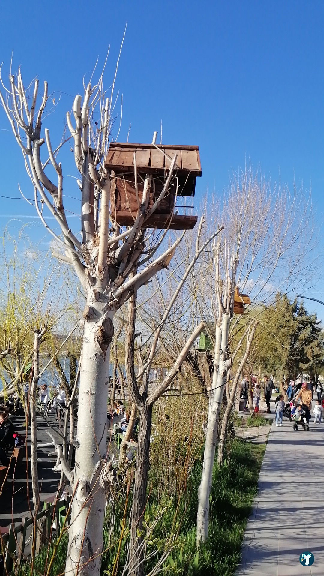 Dago Kaptanın Yeri
