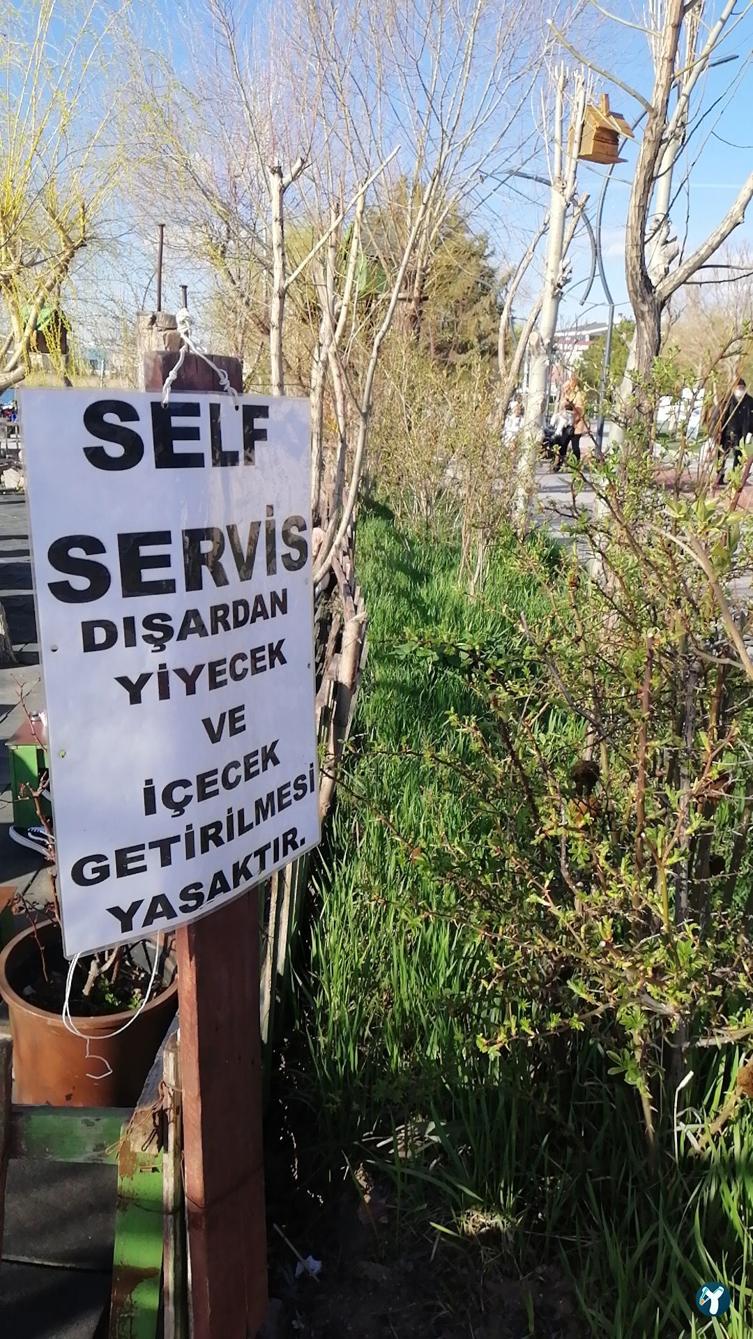 Dago Kaptanın Yeri