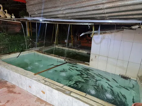 Kınay Alabalık resimleri