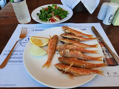 Foça Marina Restaurant resimleri