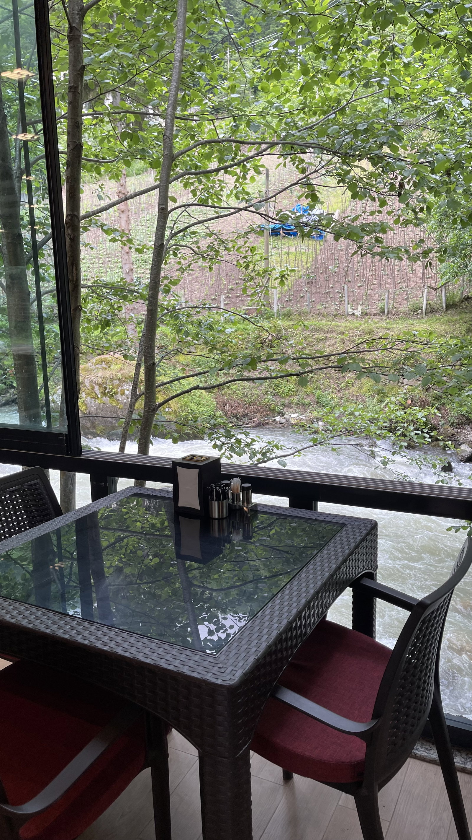 India Gate Indian Restaurant Uzungöl Trabzon (مطعم هندي في اوزنجول)