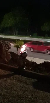 Çamlık Kafeterya resimleri