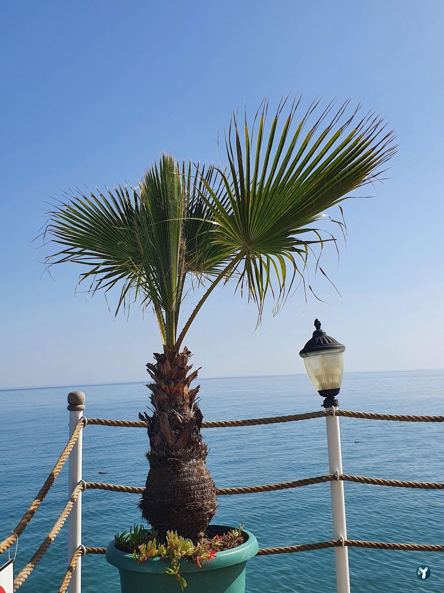 Delphin Be Grand Resort