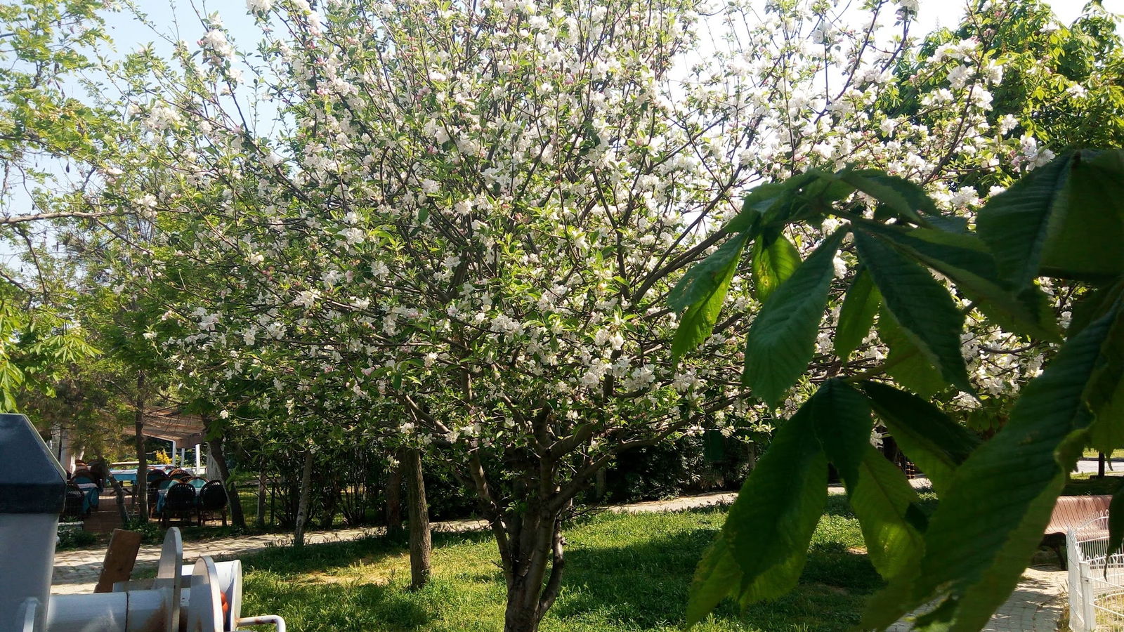 Camlı Köşk Restaurant