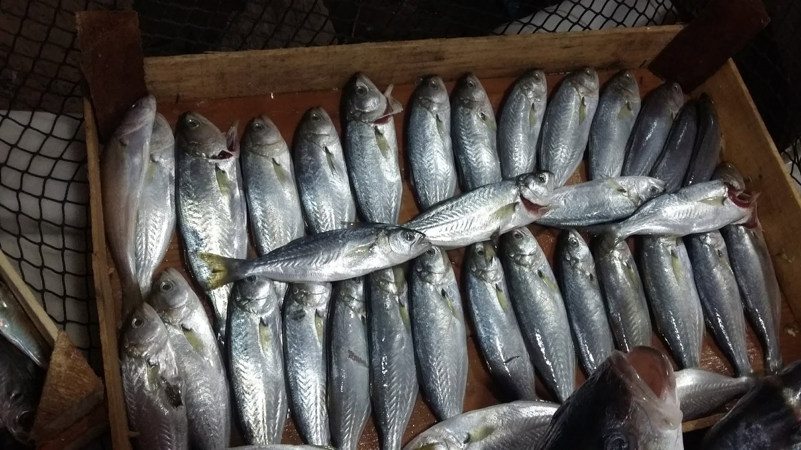 Camlı Köşk Restaurant