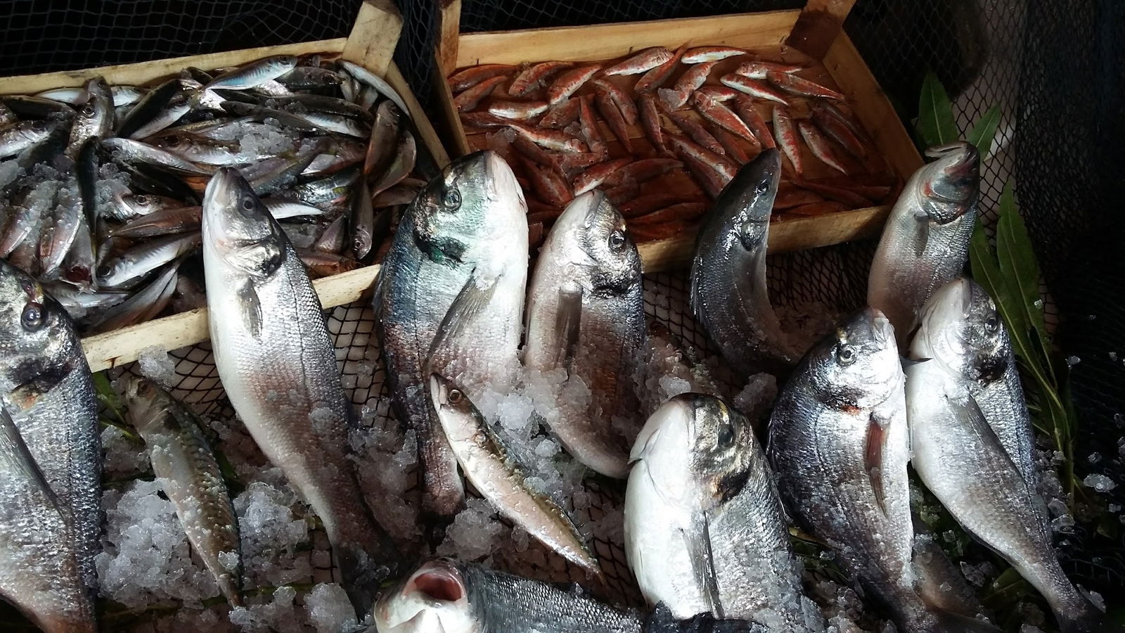 Camlı Köşk Restaurant