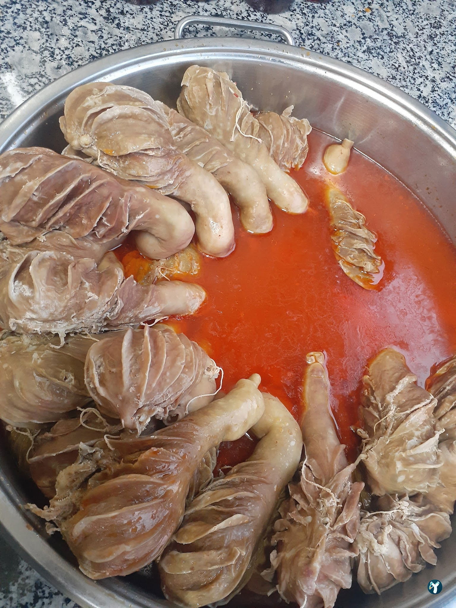 Şırdancı Cio